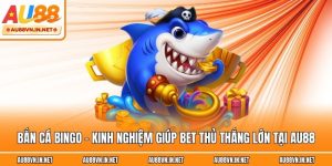 Bắn Cá Bingo - Kinh Nghiệm Giúp Bet Thủ Thắng Lớn Tại Au88