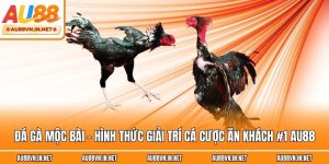 Đá Gà Mộc Bài - Hình Thức Giải Trí Cá Cược Ăn Khách #1 Au88