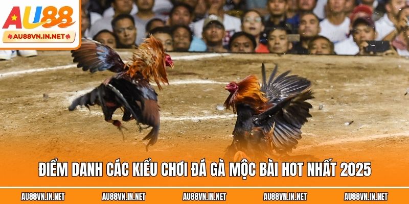 Điểm danh các kiểu chơi đá gà Mộc Bài hot nhất 2025