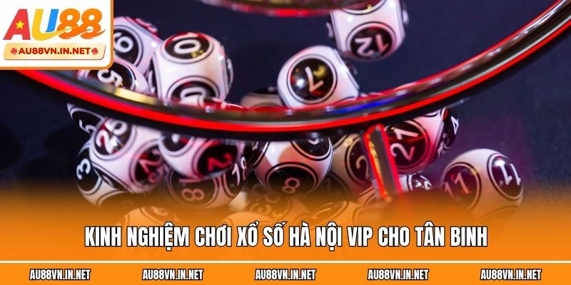 Kinh nghiệm chơi xổ số Hà Nội VIP cho tân binh