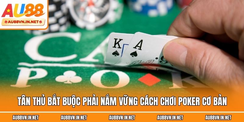 Tân thủ bắt buộc phải nắm vững cách chơi Poker cơ bản